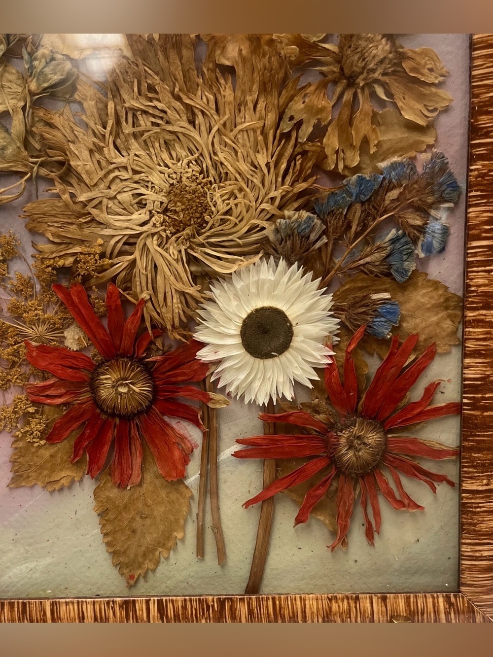 Vintage 1977 Polish Dried Flower Art,Rzeszów Botanical Shadow Box,16,5”x7,5” - Picture 5 of 12